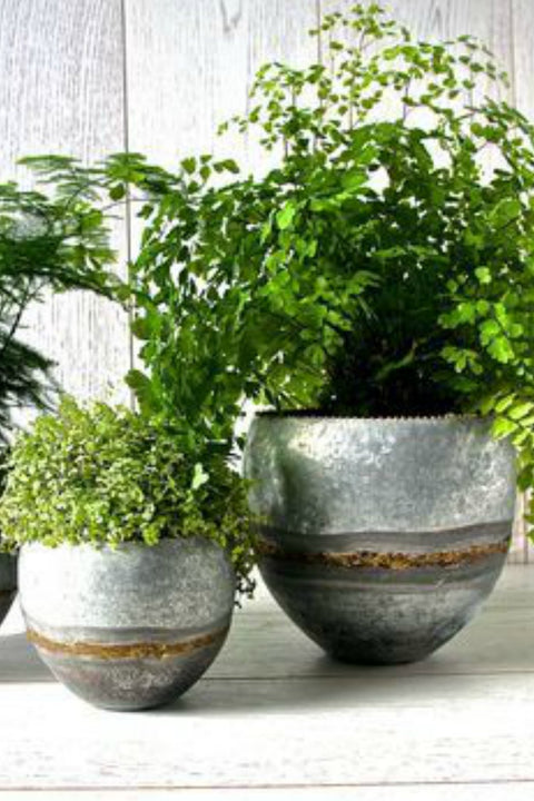 the best planters for Autumn