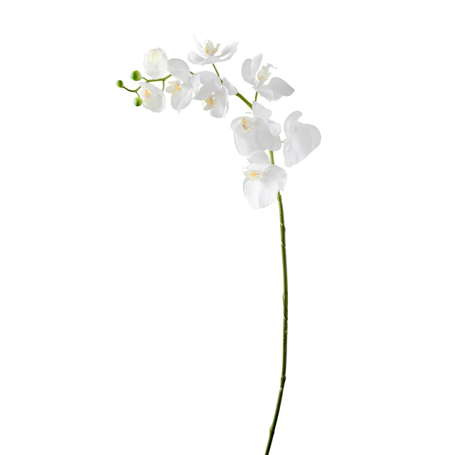 ORCHID FAUX SINGLE STEM | FLORA