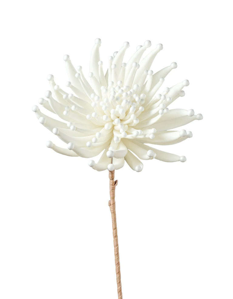 DESERT FAUX ZINNIA BURST STEM | FLORA