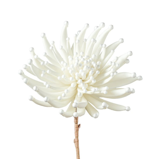 DESERT FAUX ZINNIA BURST STEM | FLORA