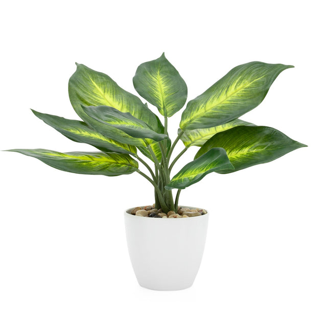 VILLA FAUX POTTED DIEFFENBACHIA PLANT | FLORA