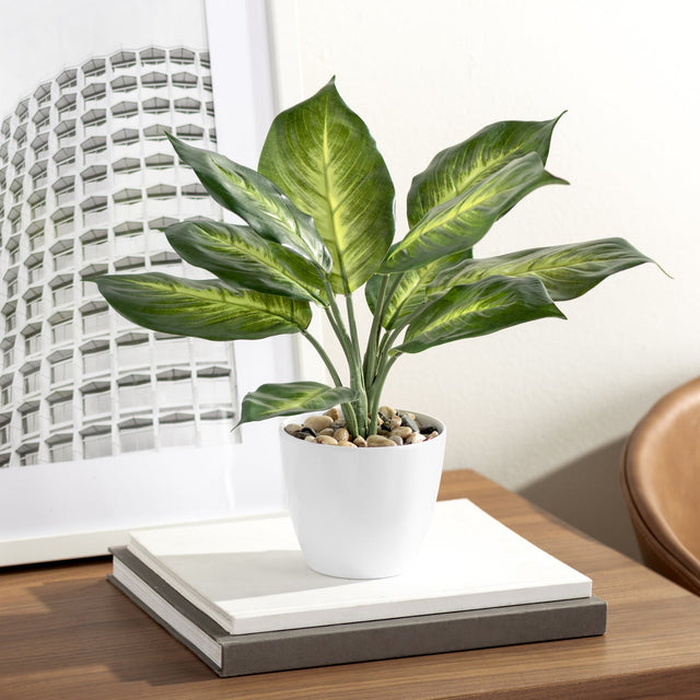 VILLA FAUX POTTED DIEFFENBACHIA PLANT | FLORA