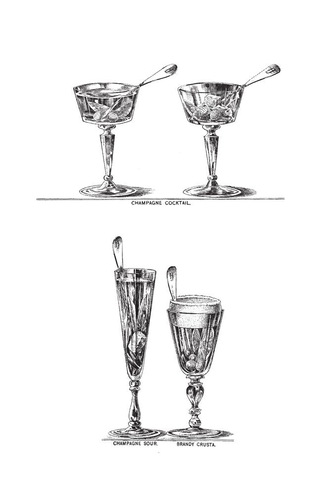 THE COCKTAIL BOOK | BOOKS
