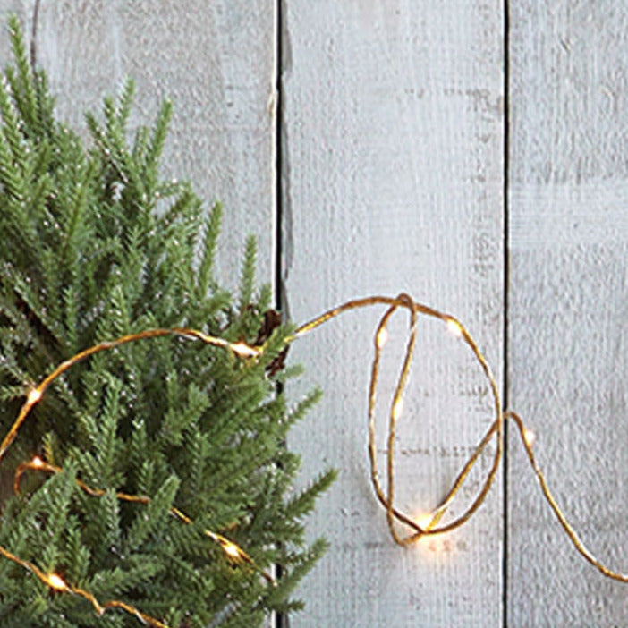 LED FAIRY WIRE | OBJECTS