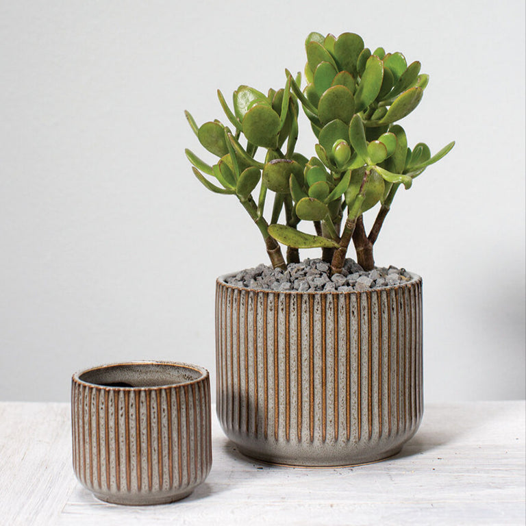HABITAT CERAMIC GROOVED PLANTER POT