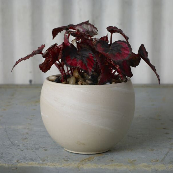 ASTRID CERAMIC PLANTER POT