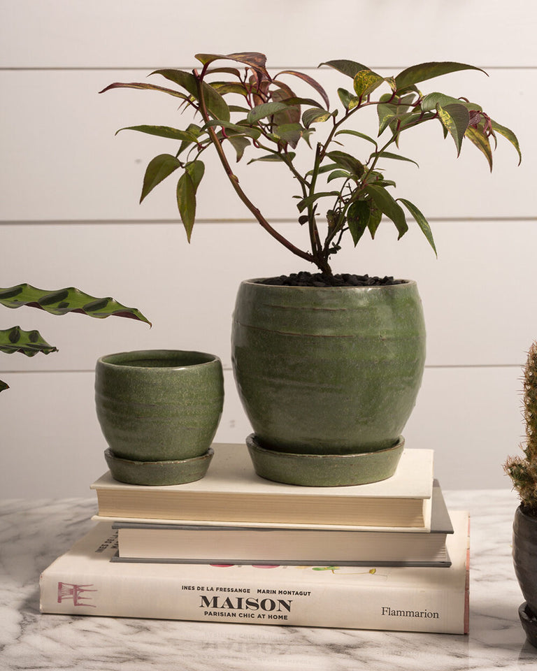 BRADFORD CERAMIC PLANTER POT WITH SAUCER