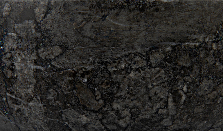 MARSHALL BOWL | OBJECTS