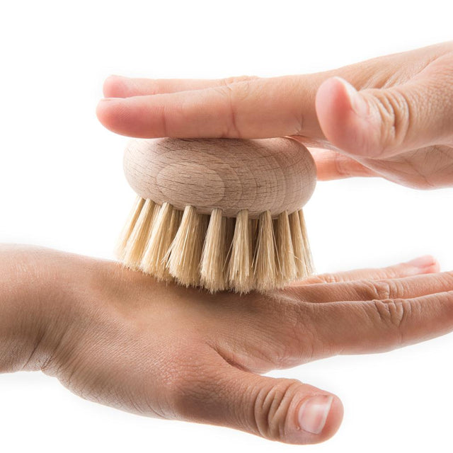 ANDREE JARDIN BODY BEECH BRUSH