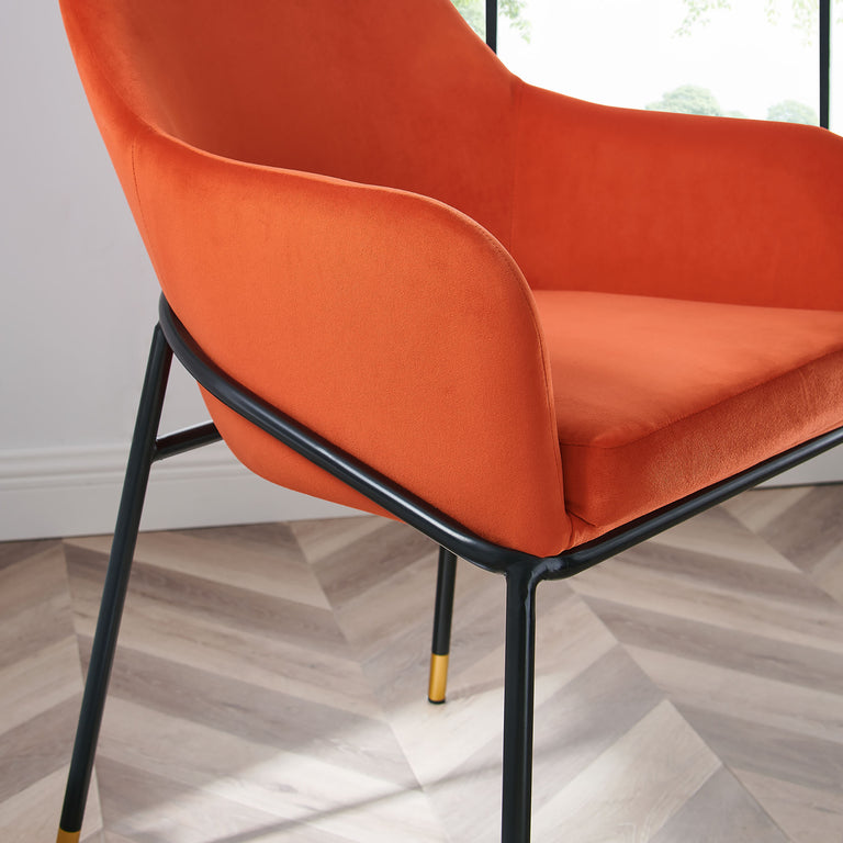 JOVI DINING CHAIRS | BAR AND DINING
