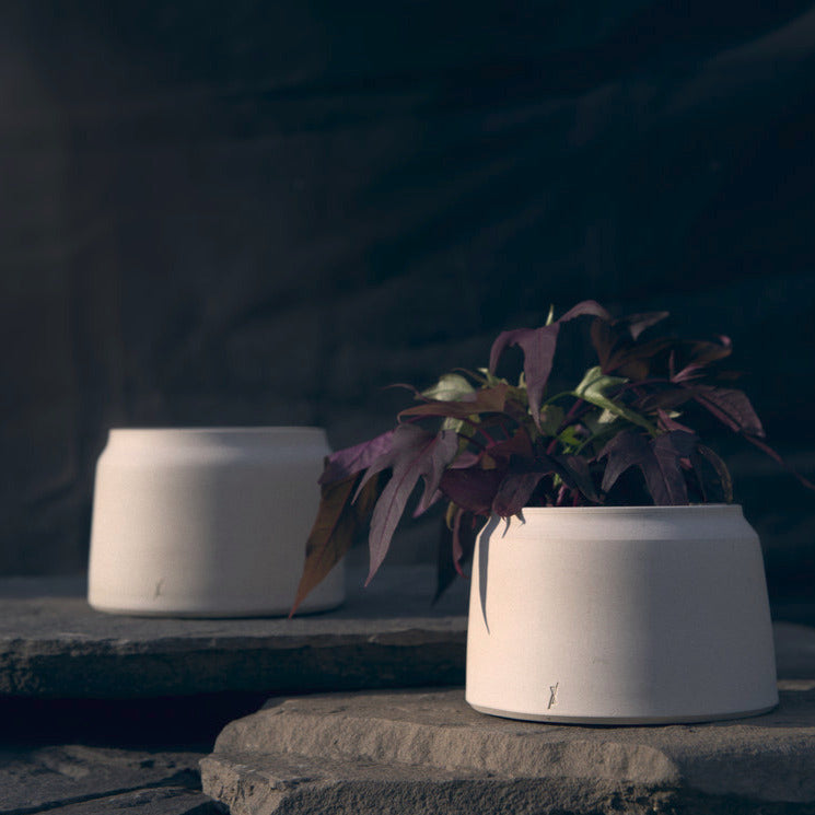 L'IMPURE PLANTER (NEW YORK)