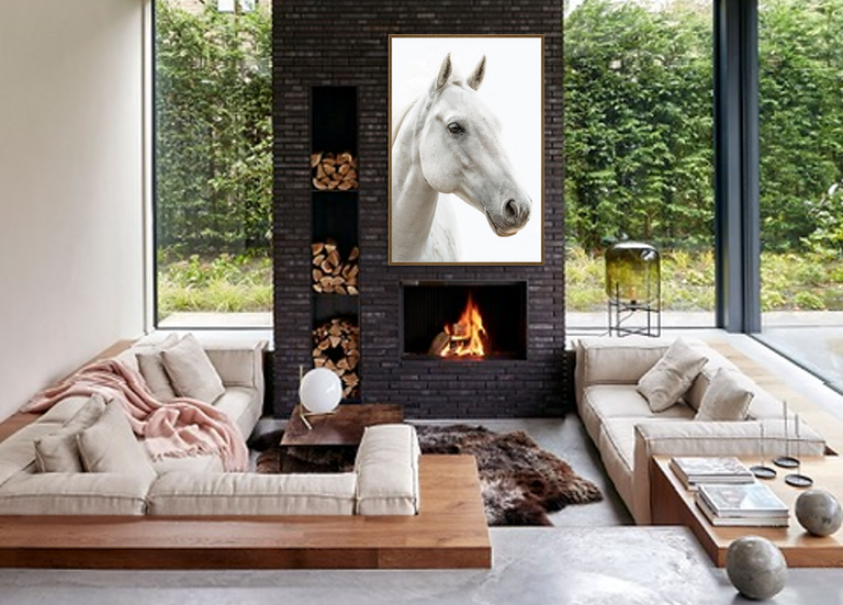 White Steed by Adam Mowery | stretched canvas wall art