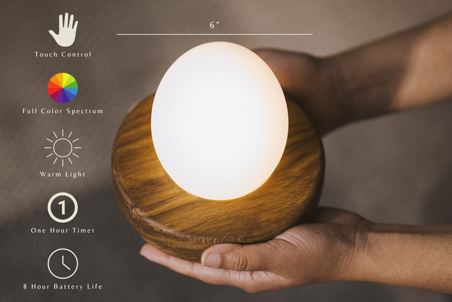 Touch Control Portable Hardwood Egg Lamp by the Iron Roots Designs | Local SF Artisan Craft | LIGHTING
