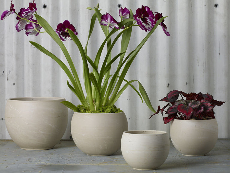 ASTRID CERAMIC PLANTER POT