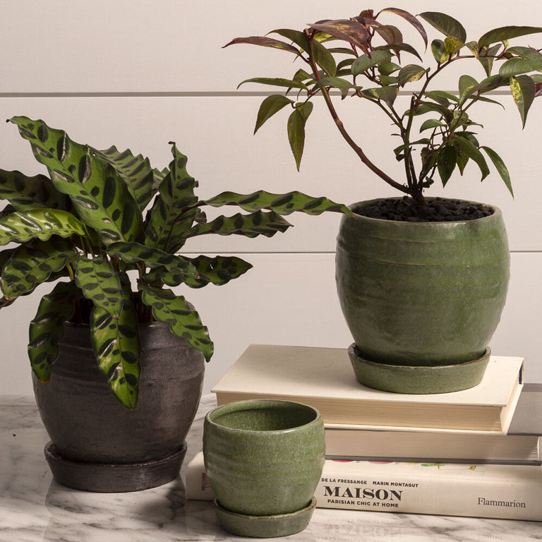 BRADFORD CERAMIC PLANTER POT WITH SAUCER