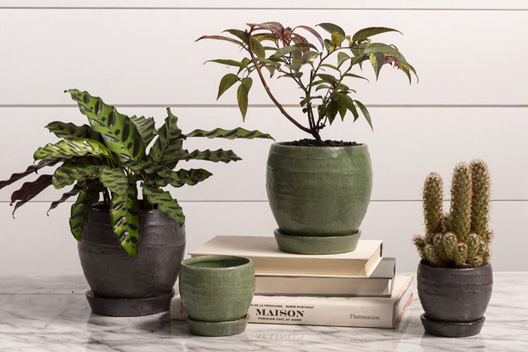 BRADFORD CERAMIC PLANTER POT WITH SAUCER