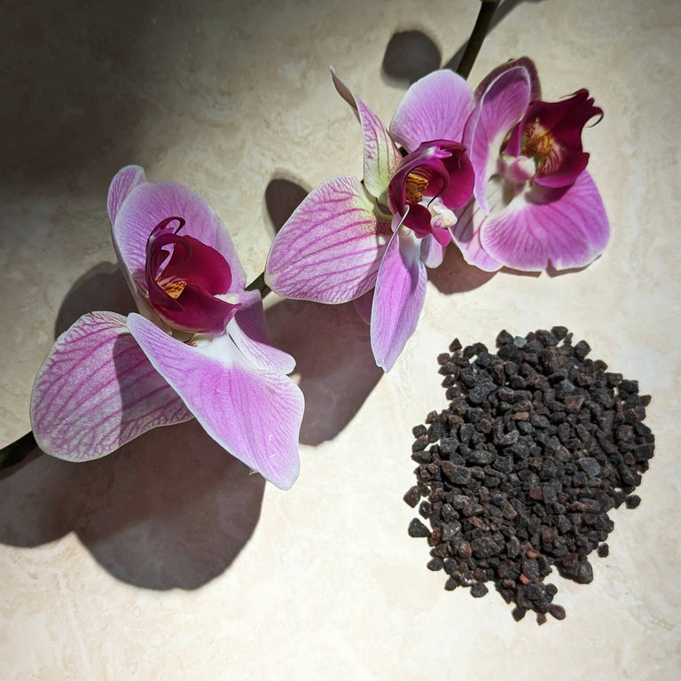 WILD ORCHID & BLACK SALT CANDLE | HOME FRAGRANCE