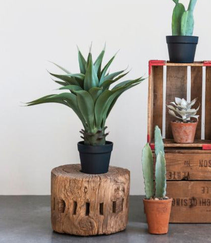 FAUX AGAVE PLANT IN POT | FLORA