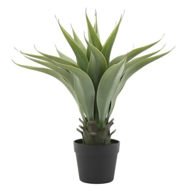 FAUX AGAVE PLANT IN POT | FLORA
