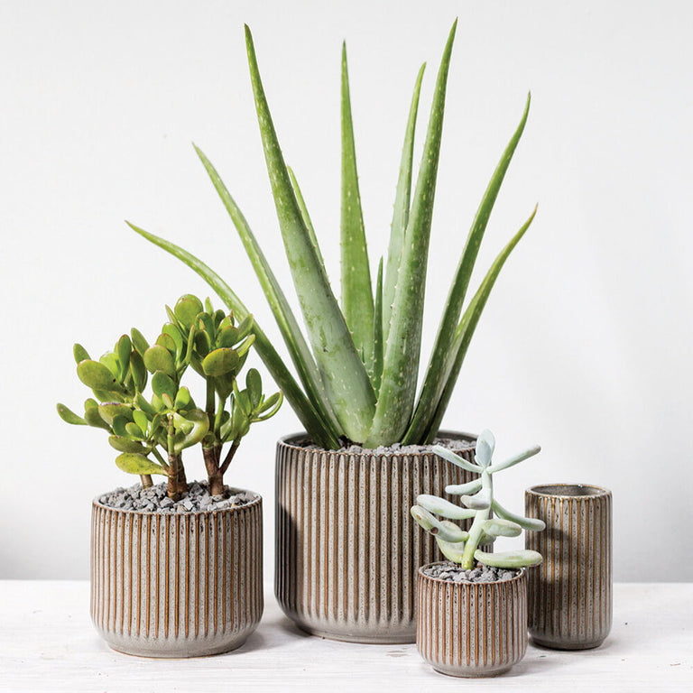 HABITAT CERAMIC GROOVED PLANTER POT