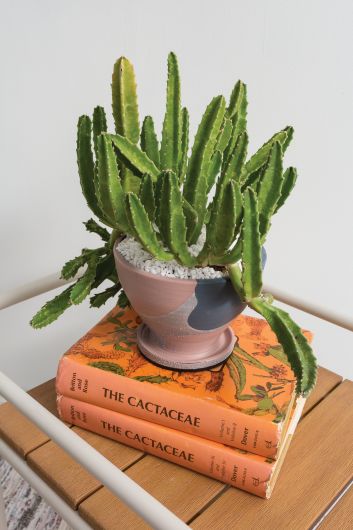 DECO PEBBLES | FLORA