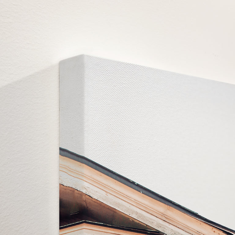 Facade by Alicia Bock | stretched canvas wall art