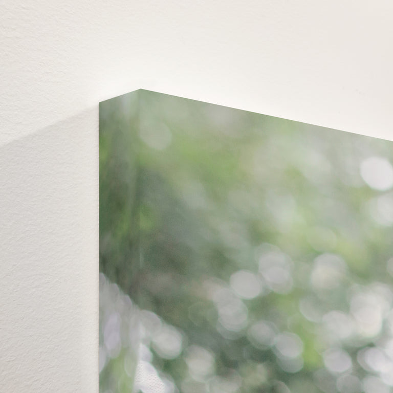 Step Inside I by Alicia Bock | stretched canvas wall art