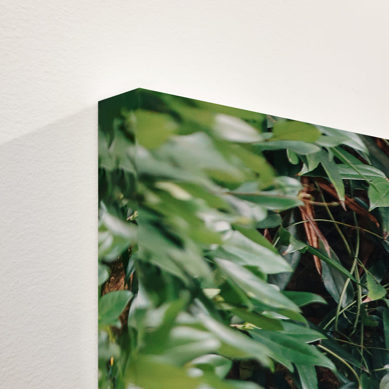 Number 17 by Alicia Bock | stretched canvas wall art