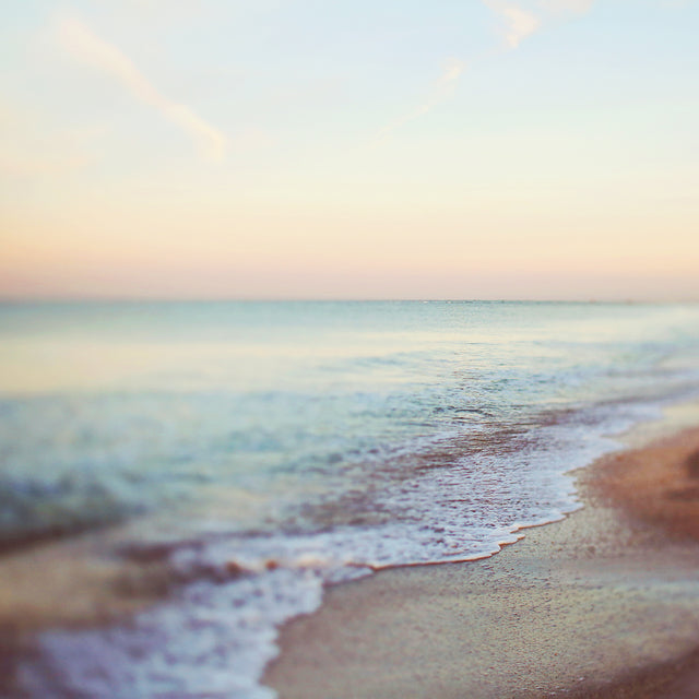 Tidal II by Alicia Bock | stretched canvas wall art