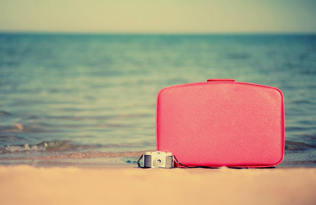 The Traveler by Alicia Bock | stretched canvas wall art