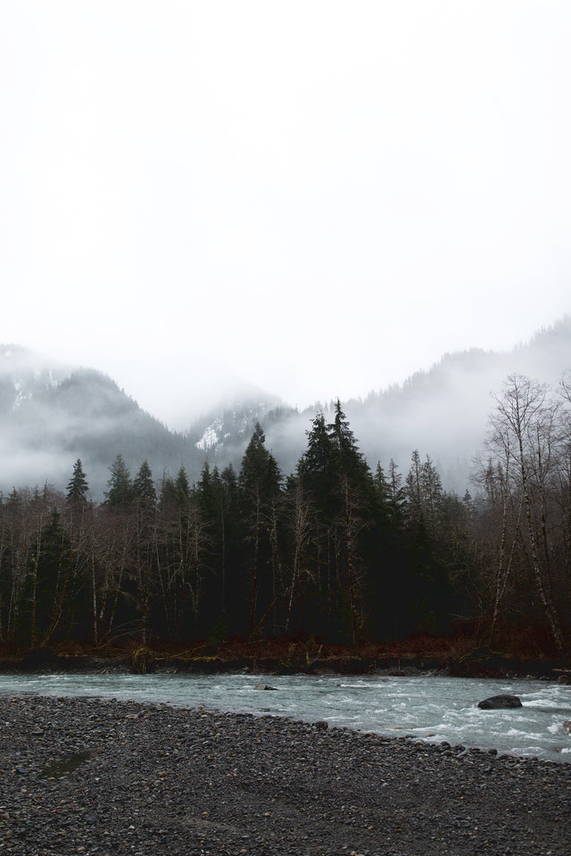 Glades by Addison Jones | stretched canvas wall art