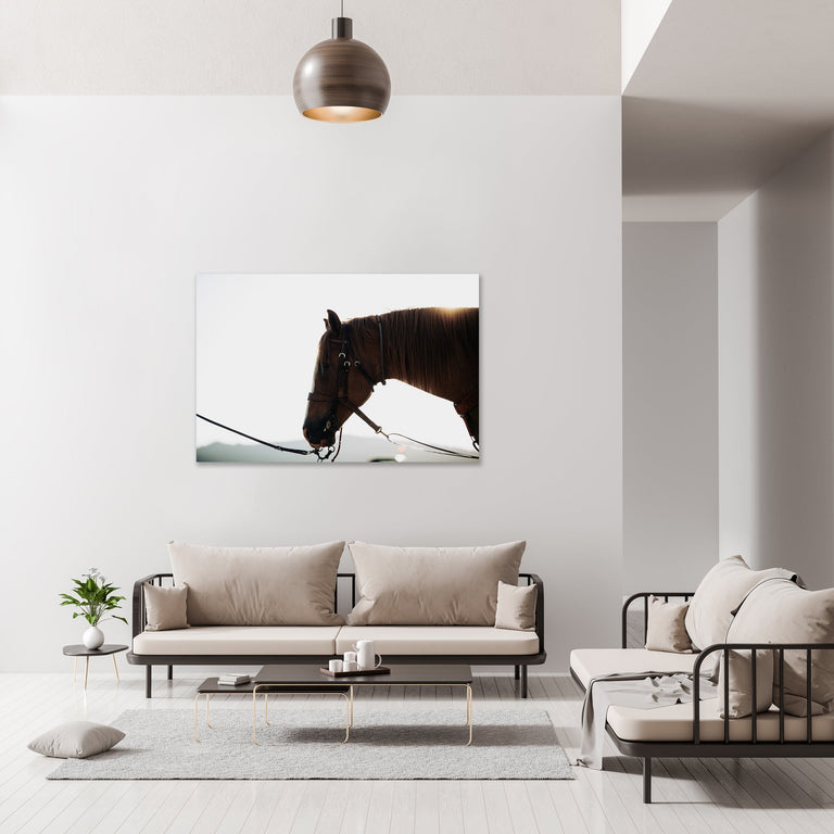 Speak of Sunshine by Addison Jones | stretched canvas wall art