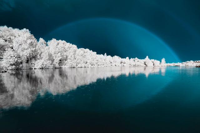 Rainb'ir by David Keochkerian | stretched canvas wall art