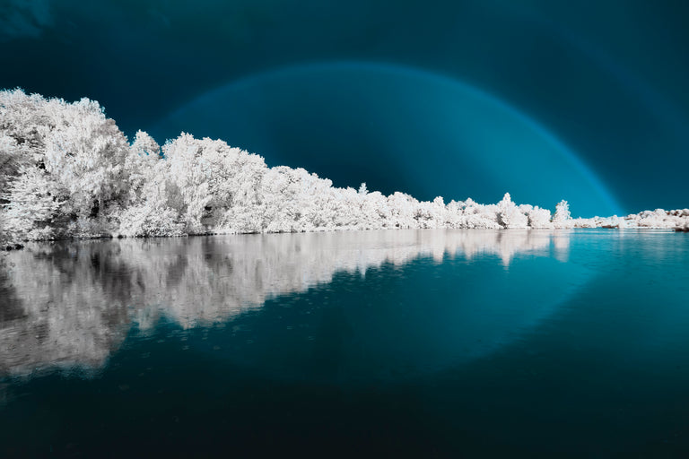 Rainb'ir by David Keochkerian | stretched canvas wall art
