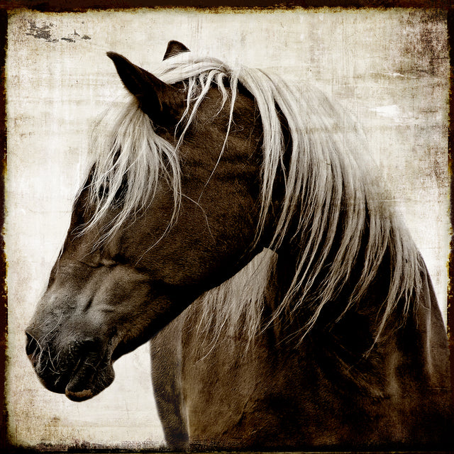 Tribute | stretched canvas wall art