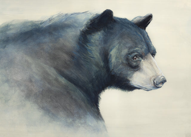 Black Bear by D’Alessandro Léon | stretched canvas wall art