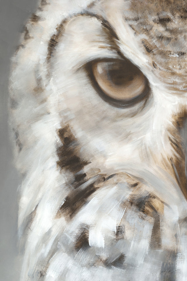 Nocturnal I by D'Alessandro Leon | stretched canvas wall art