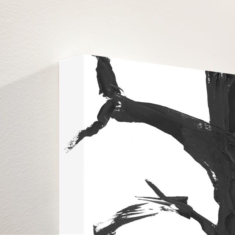Obsidian I by Emma McCartney (Canvas Wall Art)