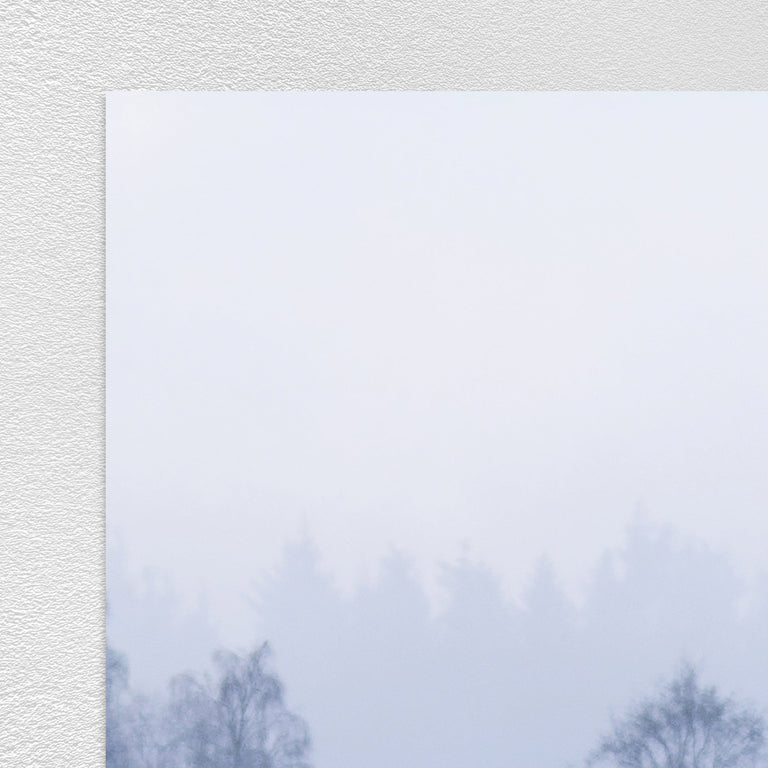Quiet Morning by Andrew Mckay | stretched canvas wall art