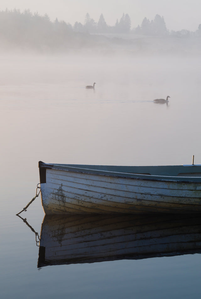 Docked at Dawn by Andrew Mckay | stretched canvas wall art