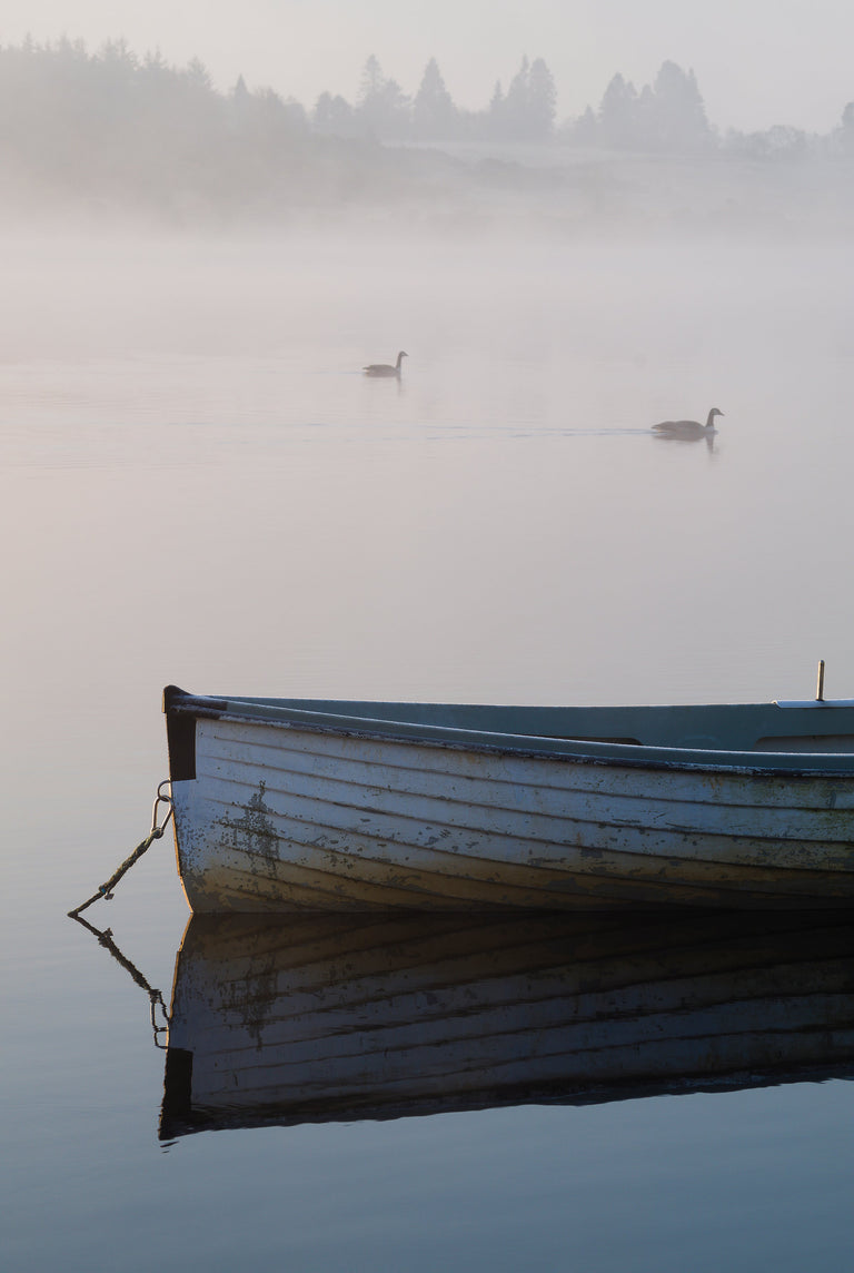 Docked at Dawn by Andrew Mckay | stretched canvas wall art