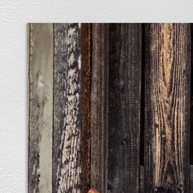 Ski Saturday by Jean Kenna | stretched canvas wall art