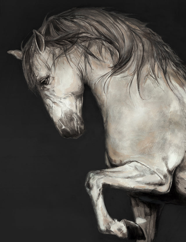 Mystico by Jacob Lincoln | stretched canvas wall art
