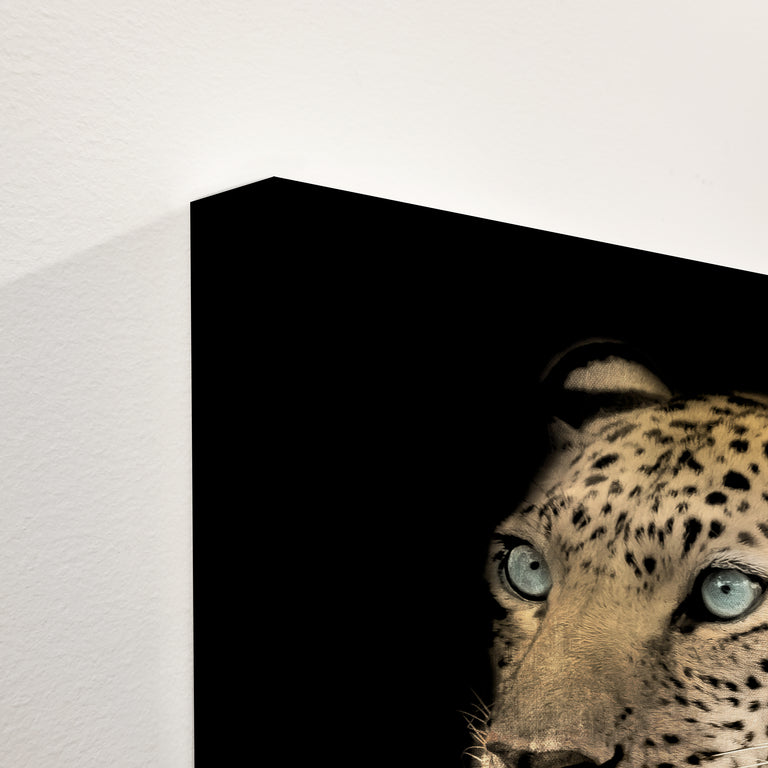 Nobility | stretched canvas wall art