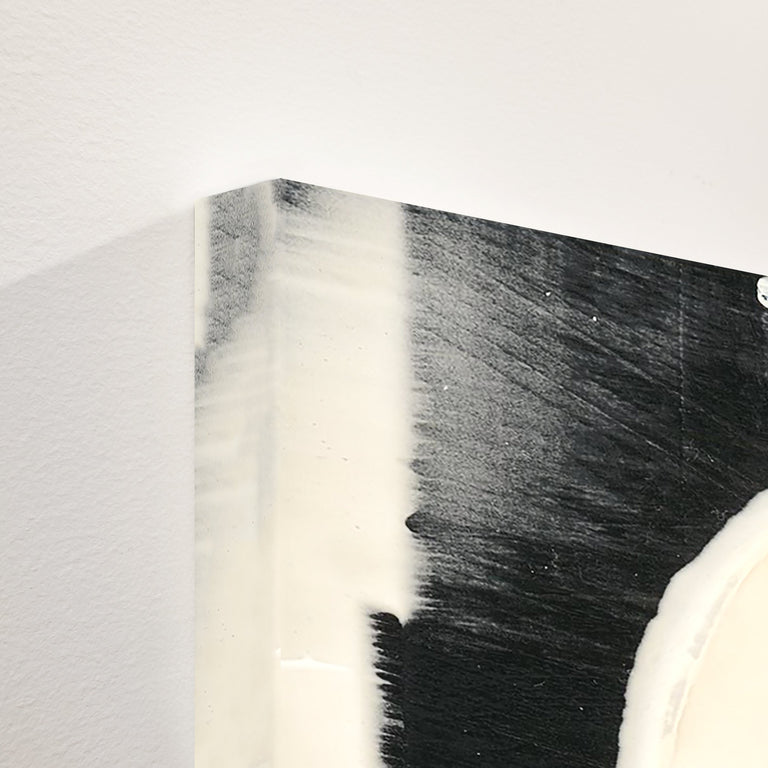 Overlap in Black and White by Victor Ryan | stretched canvas wall art