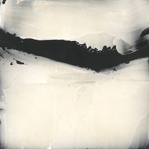 Overlap in Black and White by Victor Ryan