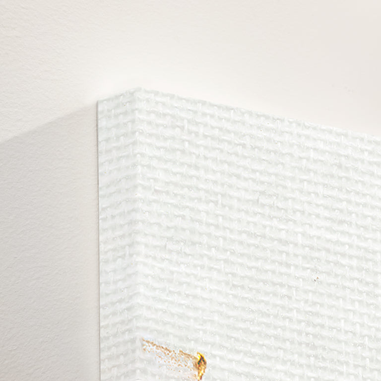 custom canvas options