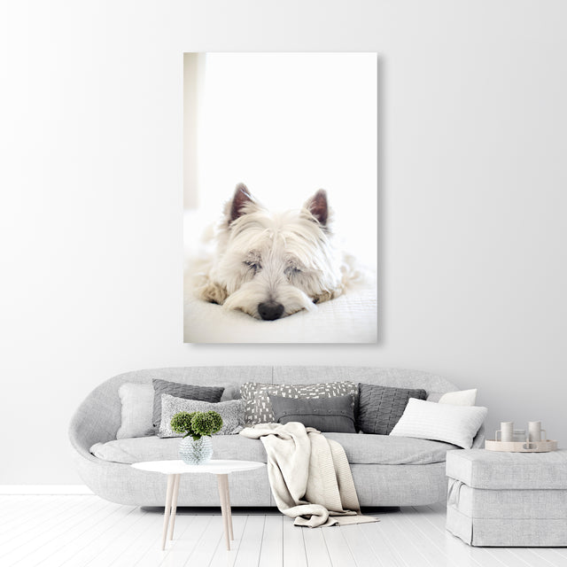 Sweet Dream Forever by Karyn Millet | stretched canvas wall art