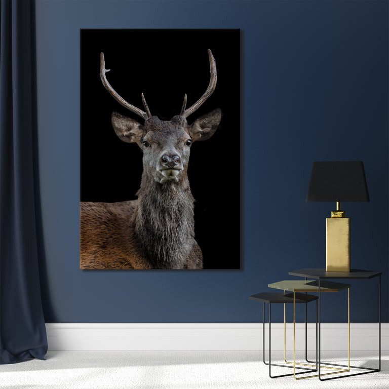 The Scotsman by Adam Mowery (Canvas Wall Art)