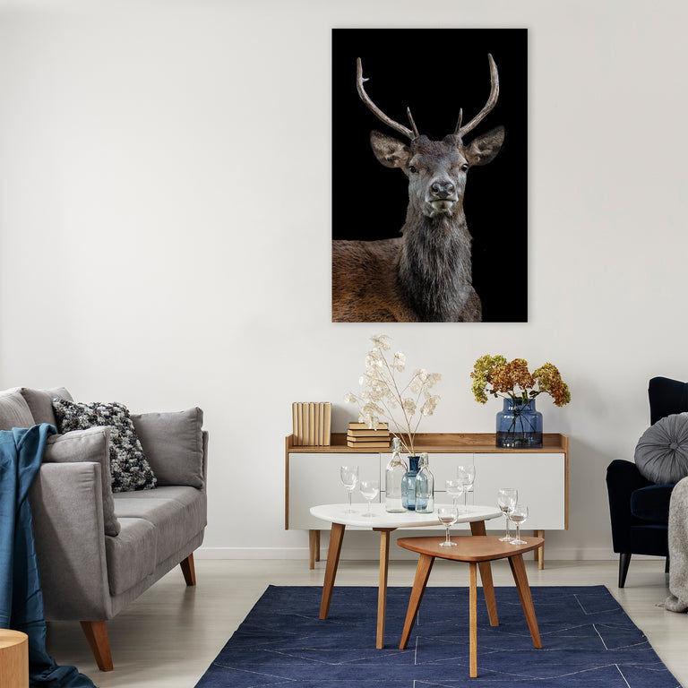 The Scotsman by Adam Mowery (Canvas Wall Art)
